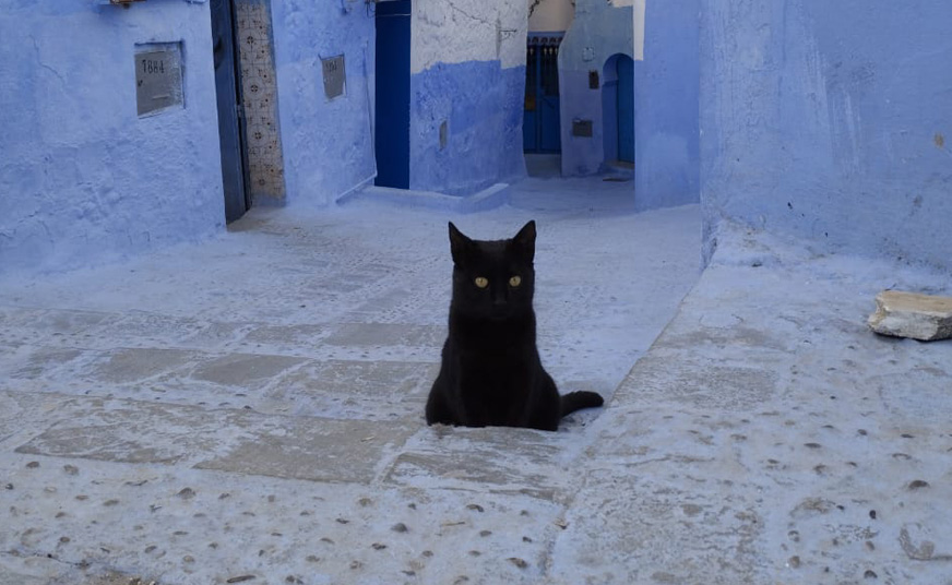 Chefchaouen Day Trip from Fes