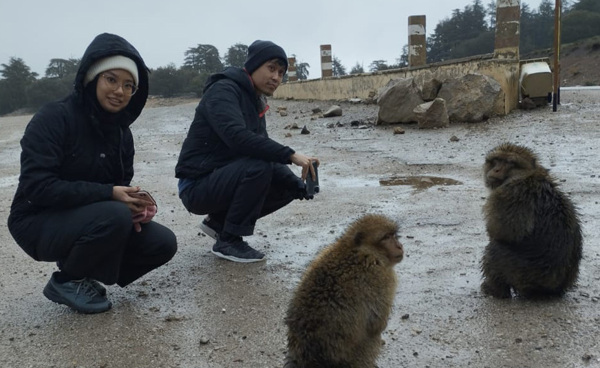 Middla Atlas Day Trip From Fes