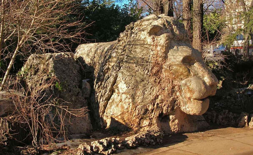 Middla Atlas Day Trip From Fes